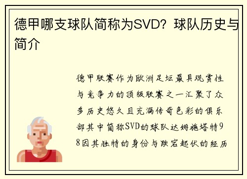 德甲哪支球队简称为SVD？球队历史与简介
